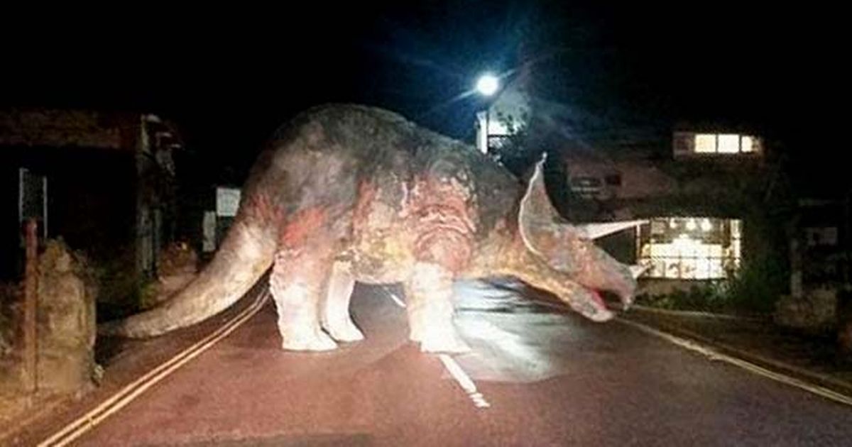 giant triceratops