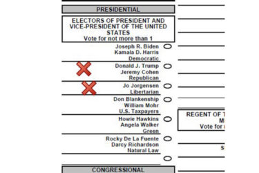 imagecast ballot verification