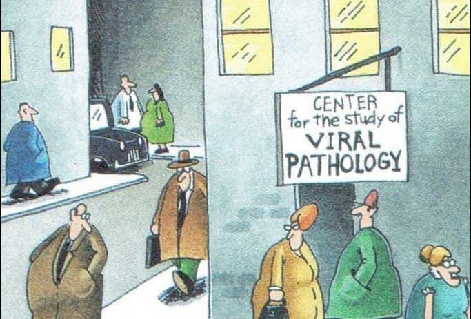 Center for Viral Pathology