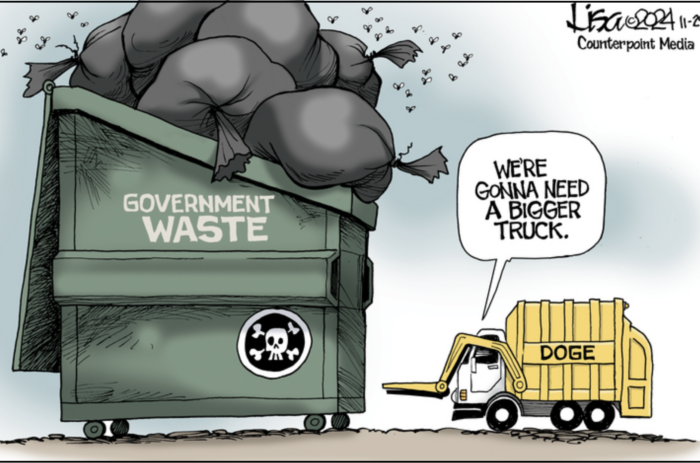 Government Waste