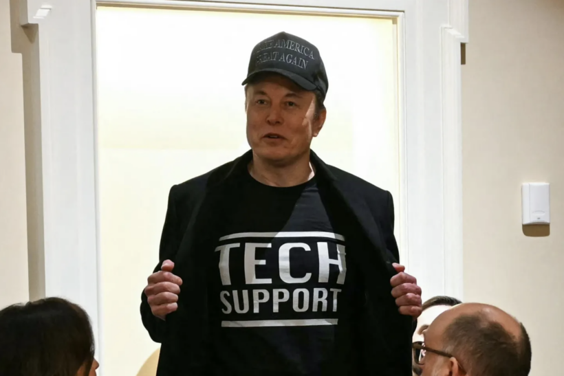 Elon: My role at DOGE “humble tech support”